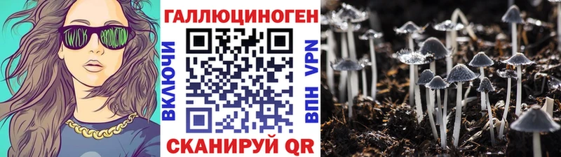 цена   Арамиль  Псилоцибиновые грибы MAGIC MUSHROOMS 